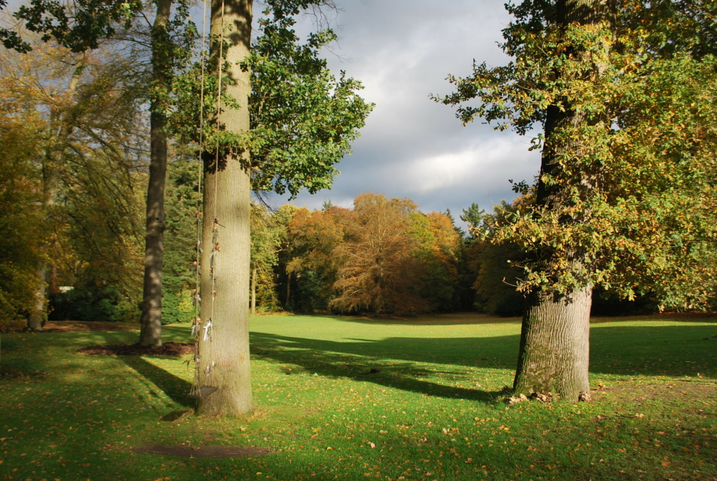 Beukenrode schommel